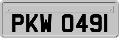 PKW0491