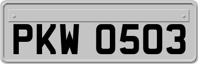 PKW0503
