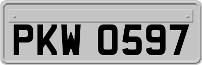 PKW0597