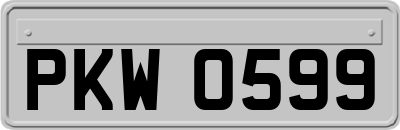 PKW0599