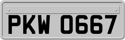 PKW0667
