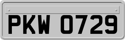 PKW0729