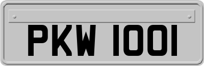 PKW1001