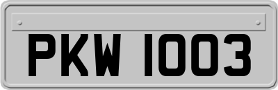 PKW1003