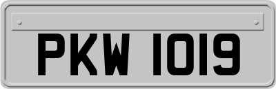PKW1019