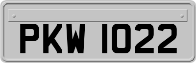 PKW1022