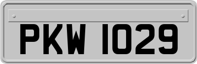 PKW1029