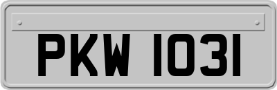 PKW1031