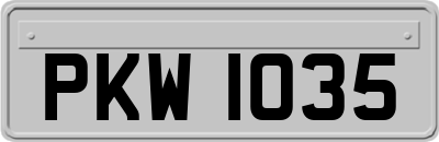 PKW1035