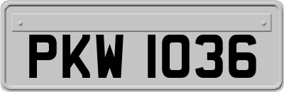 PKW1036