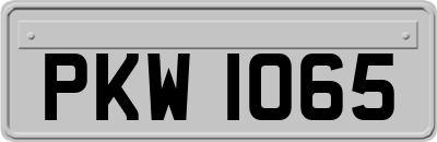 PKW1065