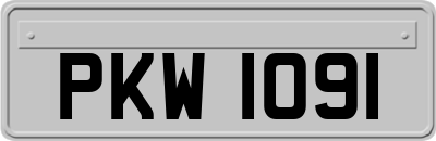 PKW1091