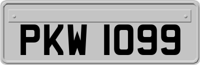 PKW1099