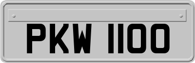 PKW1100