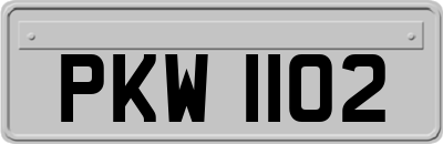 PKW1102