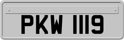 PKW1119