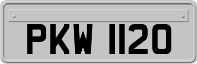 PKW1120