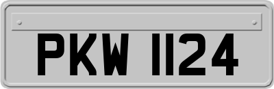 PKW1124
