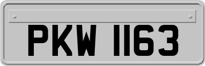 PKW1163