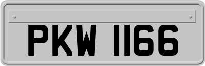 PKW1166