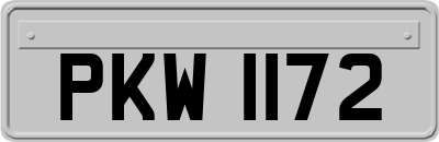 PKW1172