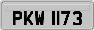 PKW1173