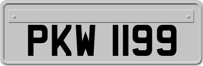 PKW1199
