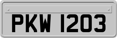 PKW1203