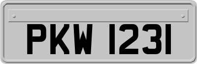 PKW1231