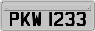 PKW1233