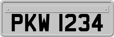 PKW1234