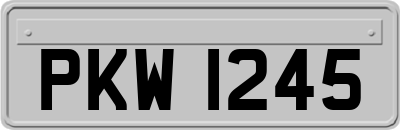 PKW1245