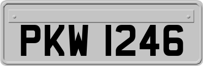 PKW1246
