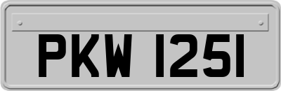 PKW1251