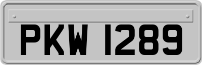 PKW1289