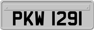 PKW1291