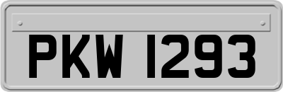 PKW1293