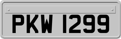 PKW1299