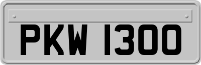 PKW1300