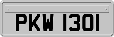 PKW1301