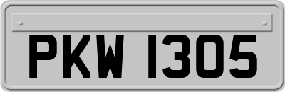 PKW1305