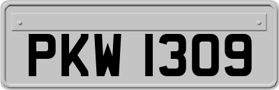 PKW1309