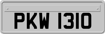 PKW1310