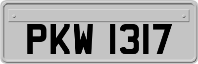 PKW1317