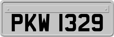 PKW1329