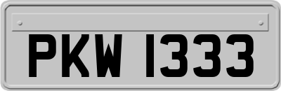 PKW1333