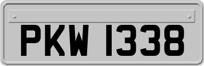 PKW1338