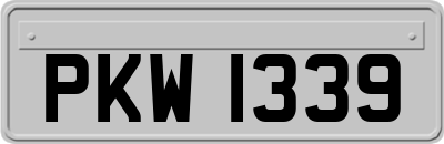 PKW1339