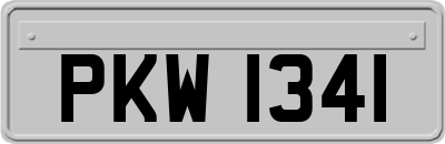 PKW1341