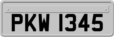 PKW1345